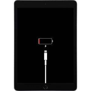 iPad Pro 12.9" 4th Gen Charging Issue repair